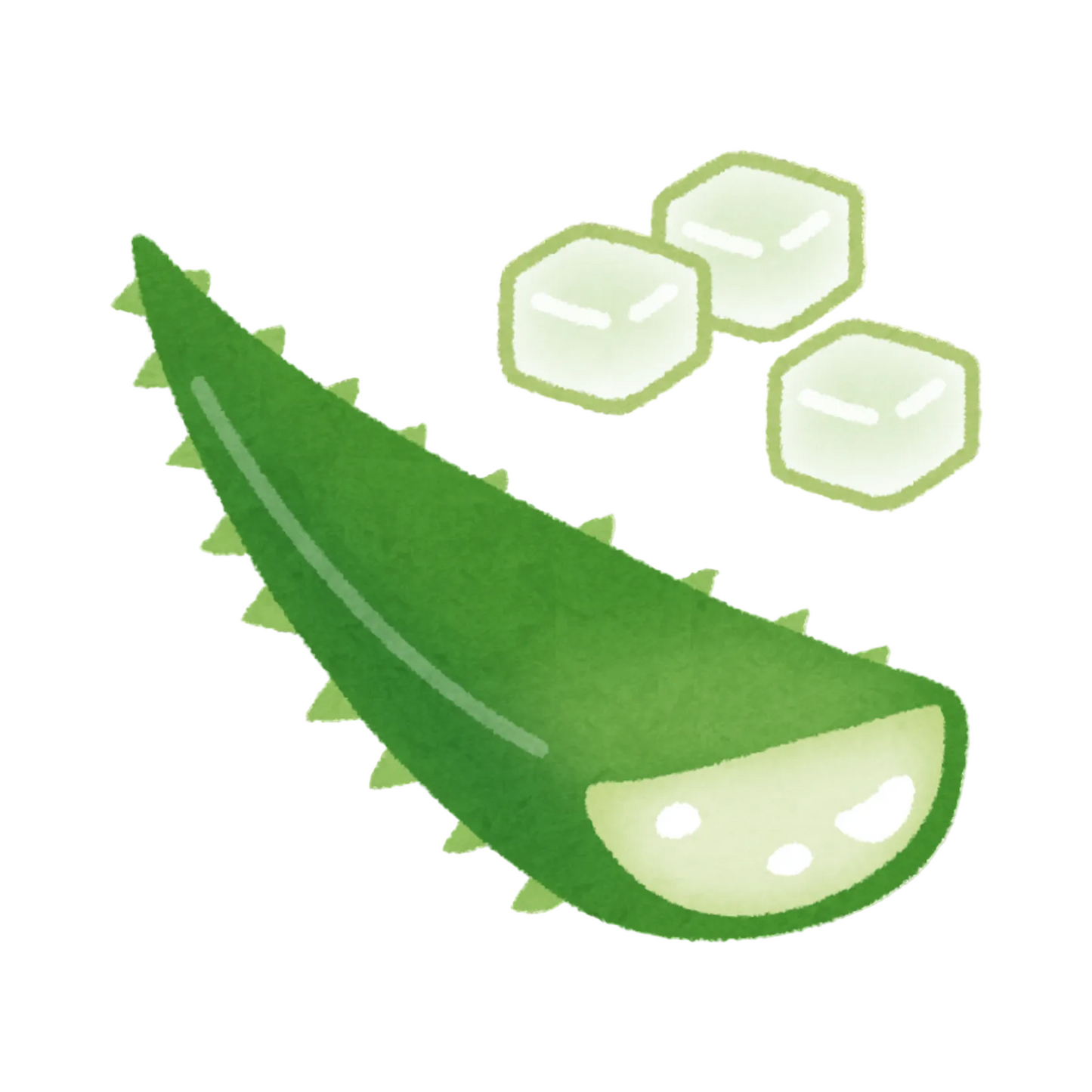 Aloe Vera Chunks
