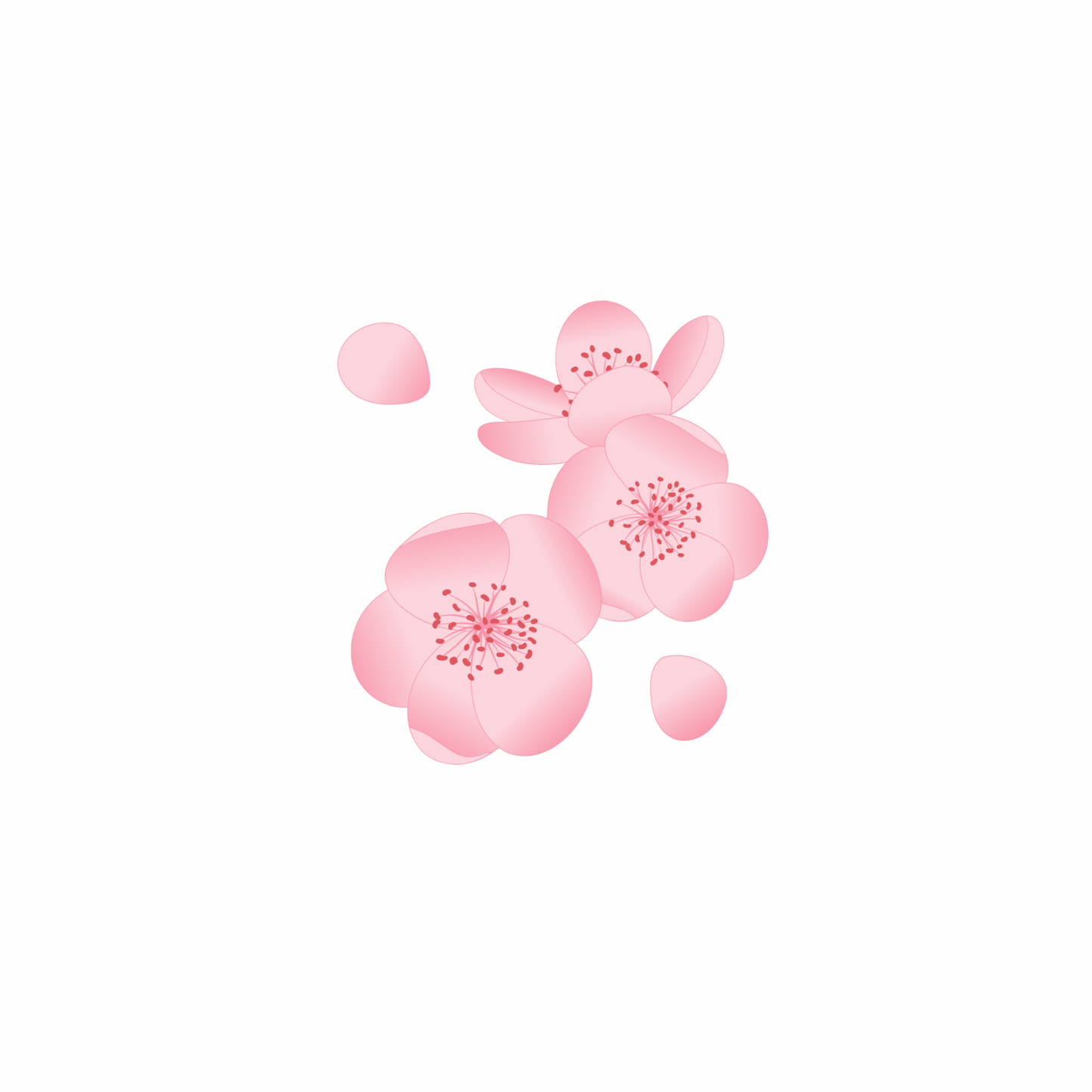 Pink Rose Thai
